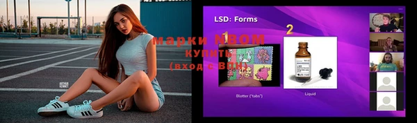 индика Баксан