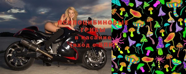 индика Баксан