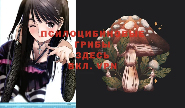 метадон Аркадак